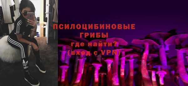дурь Алексеевка