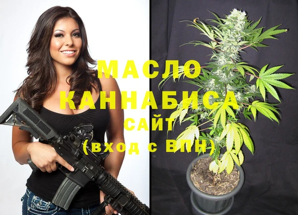 МДПВ Алексин